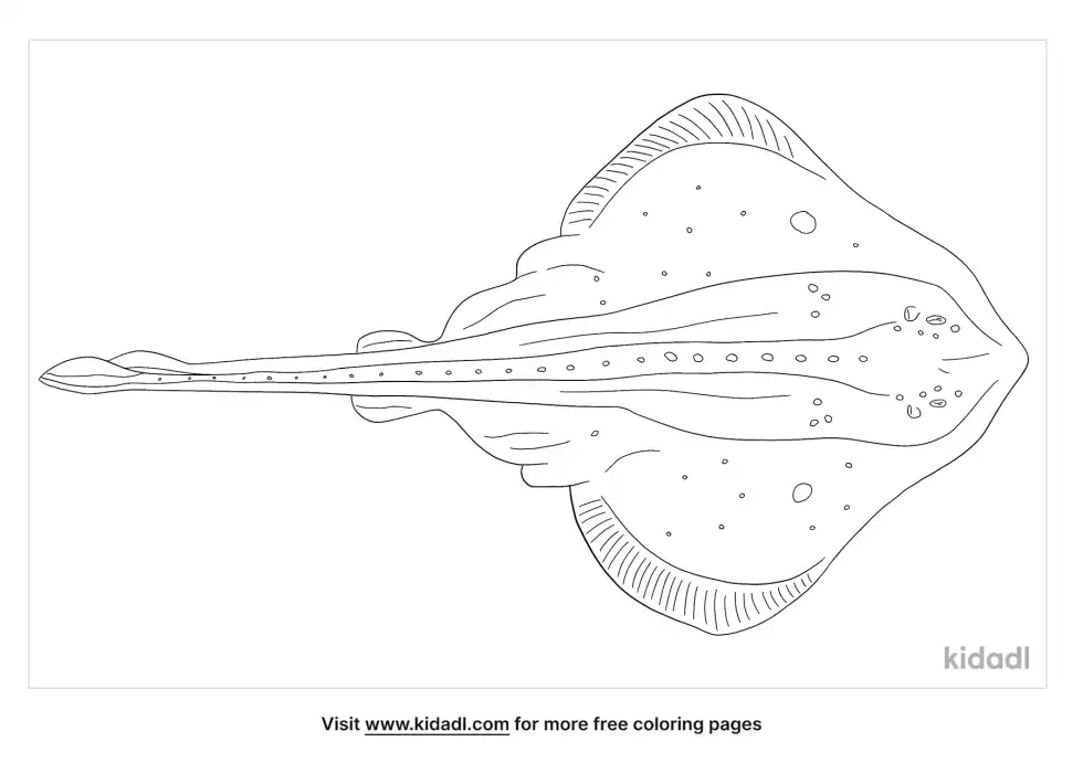 Skate Fish Coloring Page