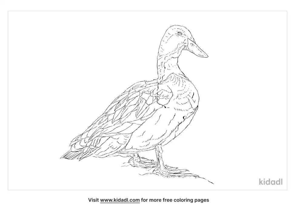Blue Swedish Duck Coloring Page