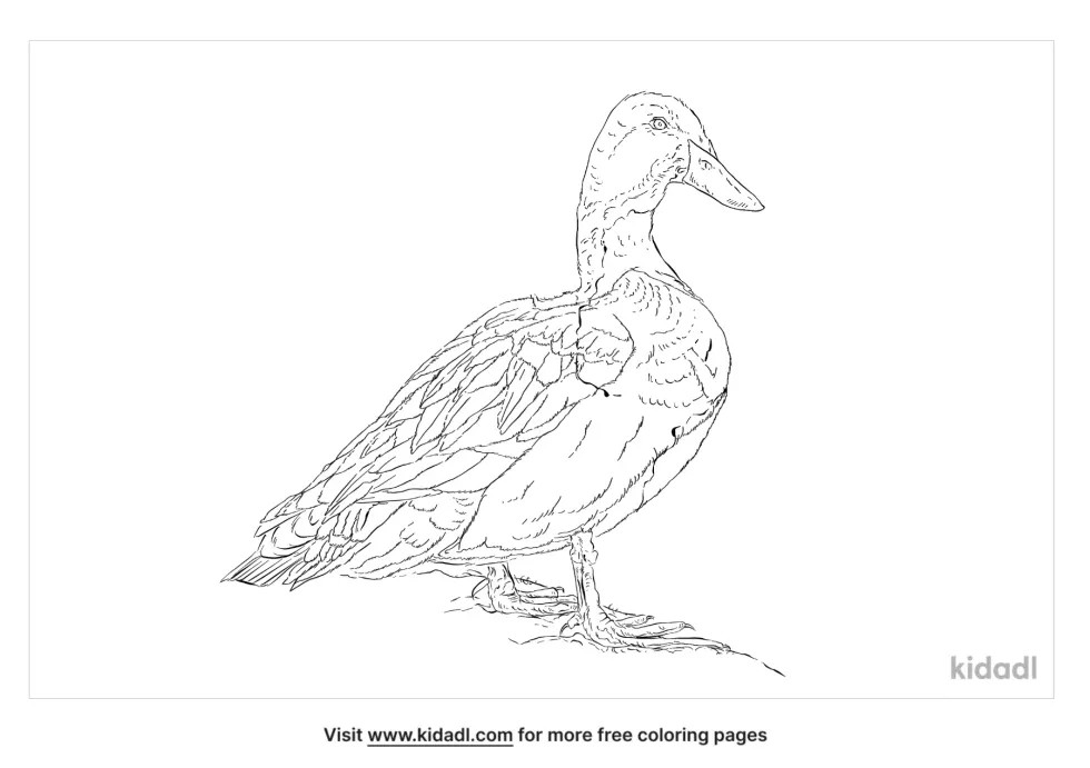 Blue Swedish Duck Coloring Page