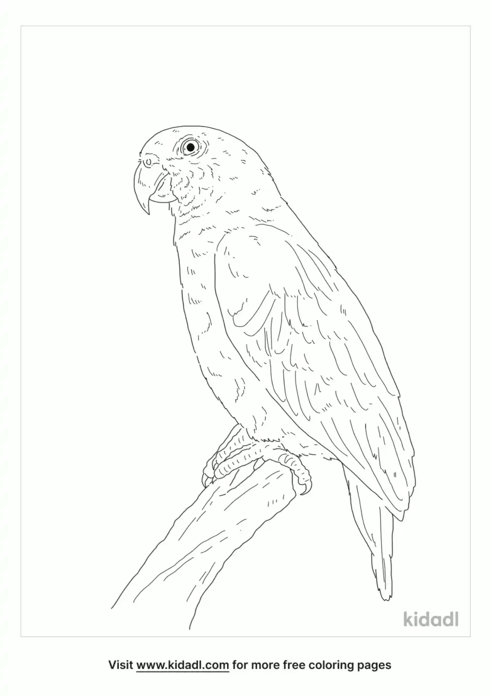 Orange Winged Amazon Coloring Page