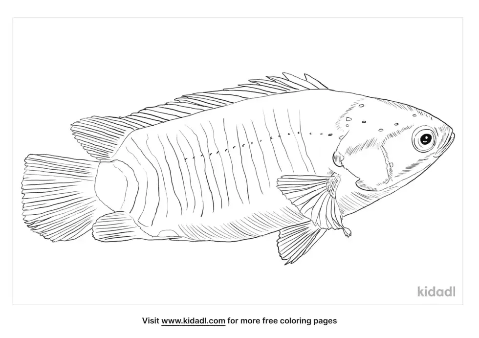 Climbing Perch Coloring Page