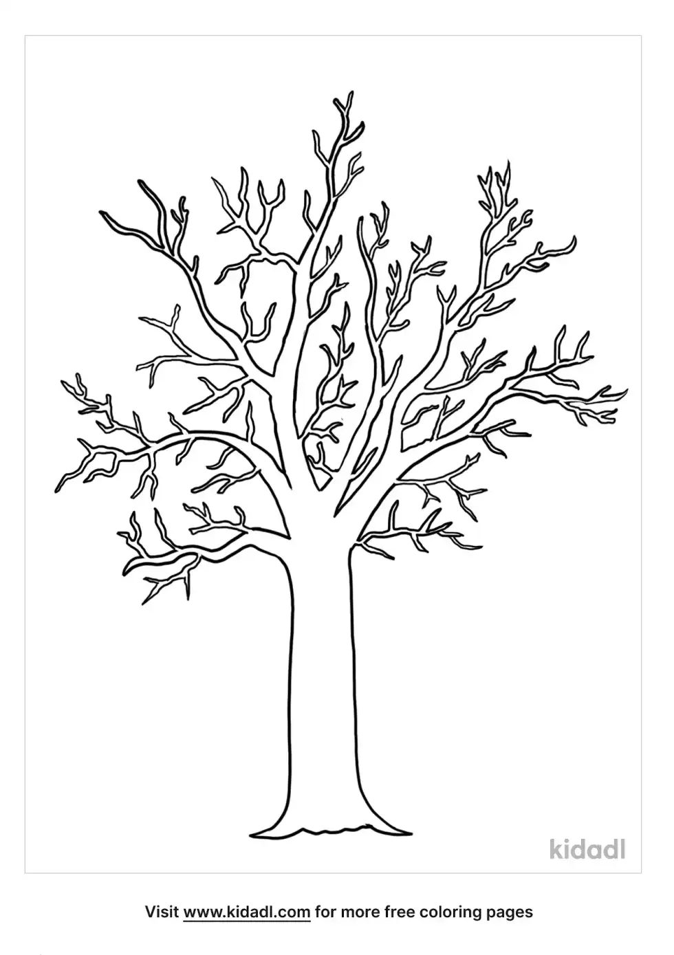 Leafless Tree Outline Coloring Page