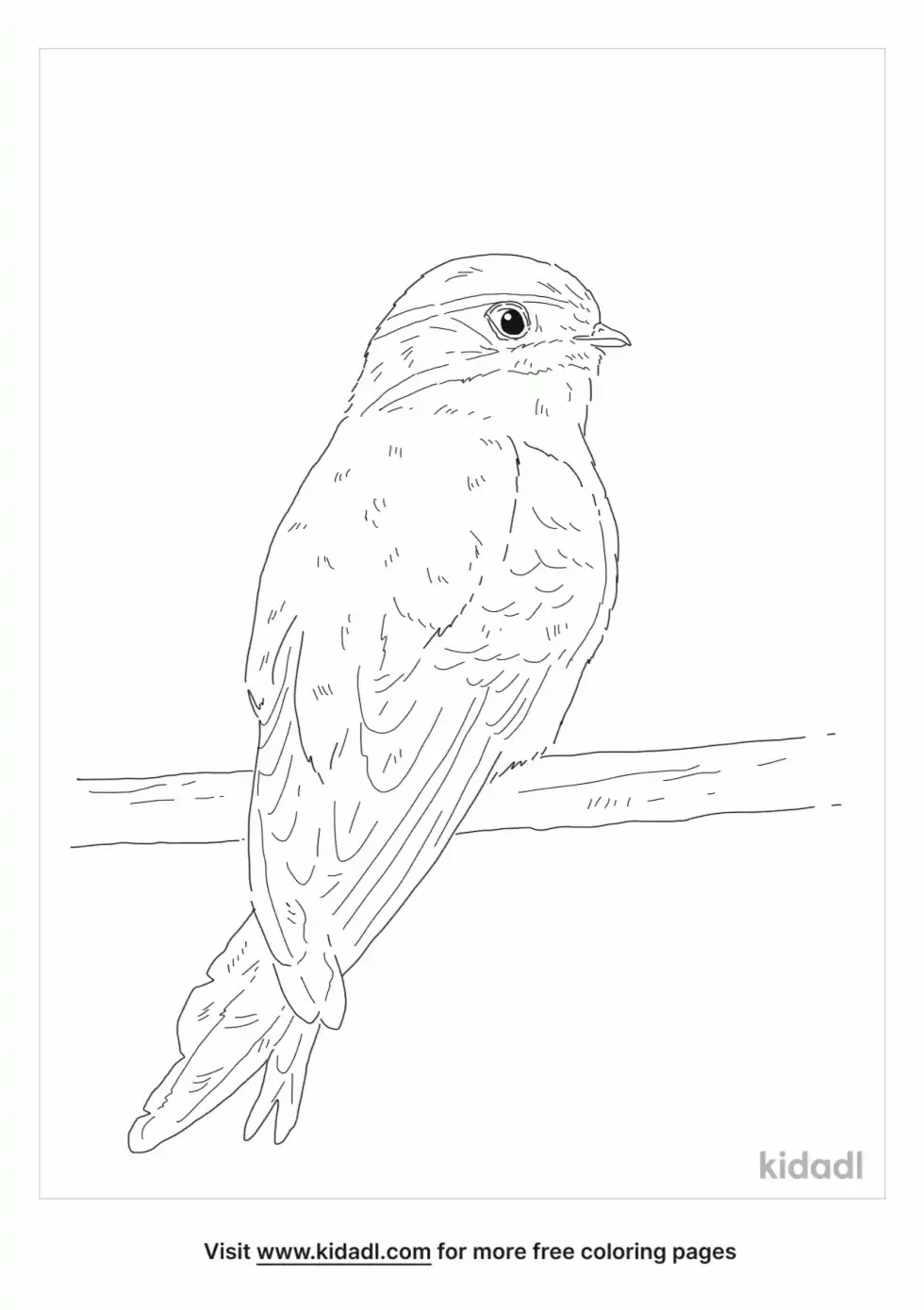Whiskered Treeswift Coloring Page