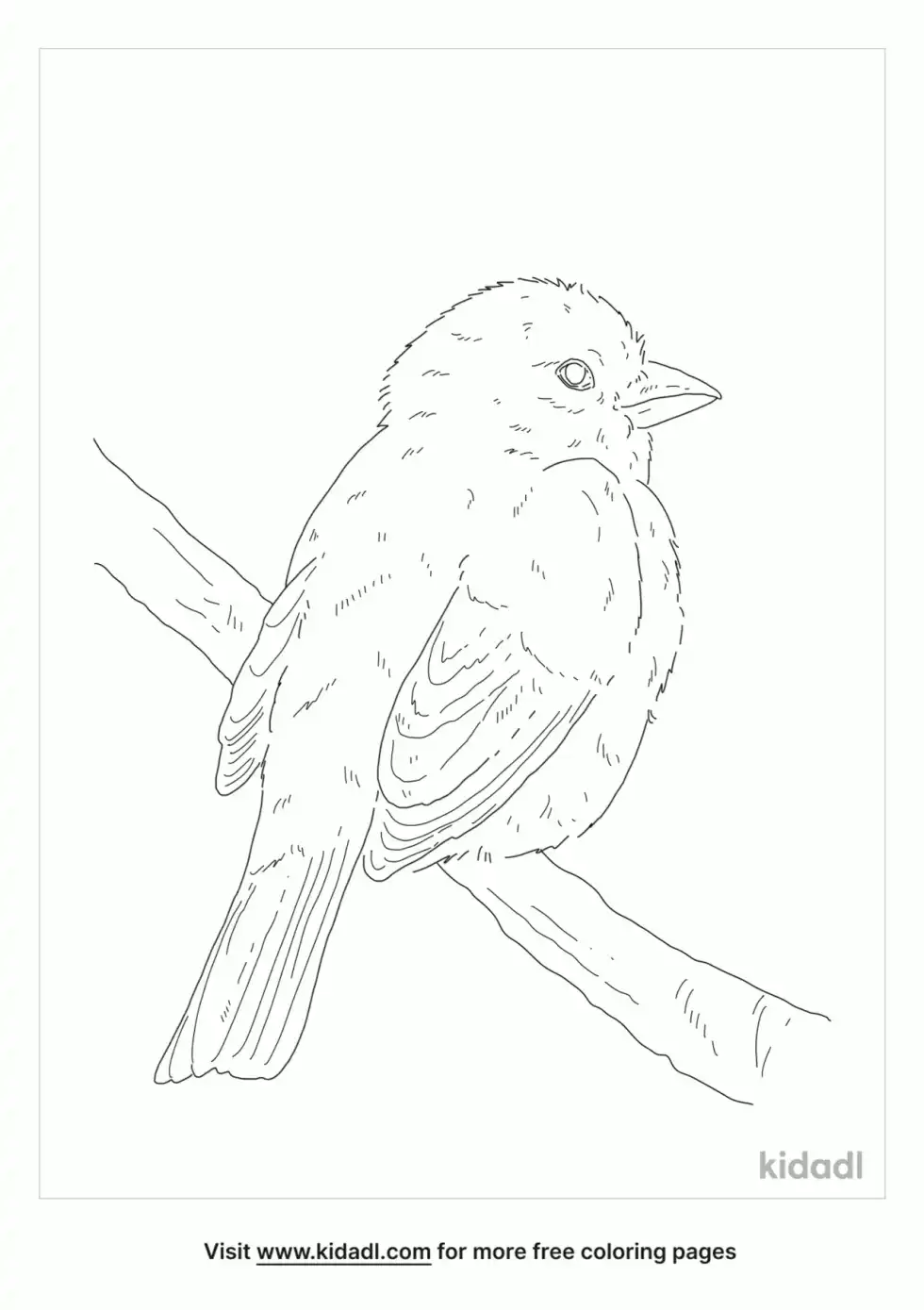 Golden Sparrow Coloring Page