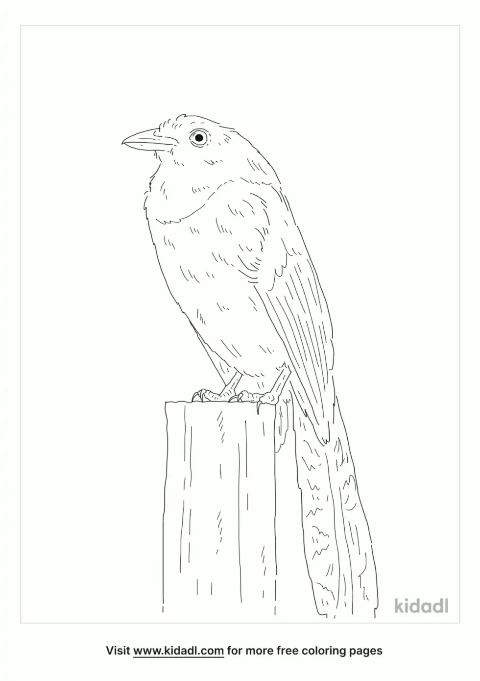 Red-Billed Blue Magpie Coloring Page