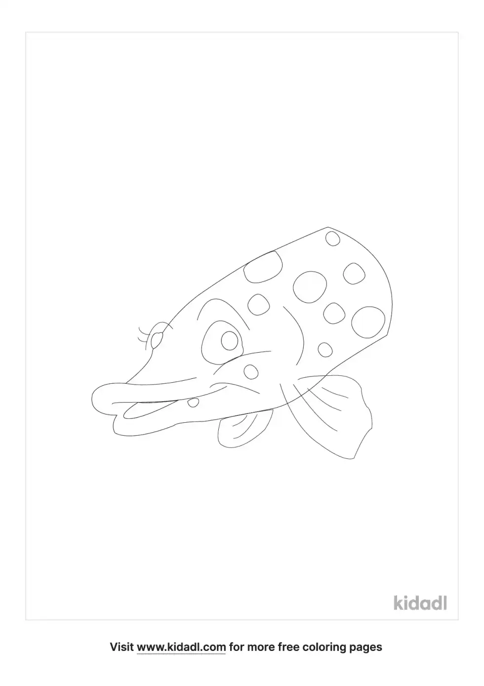 Northern Pike Head Coloring Page