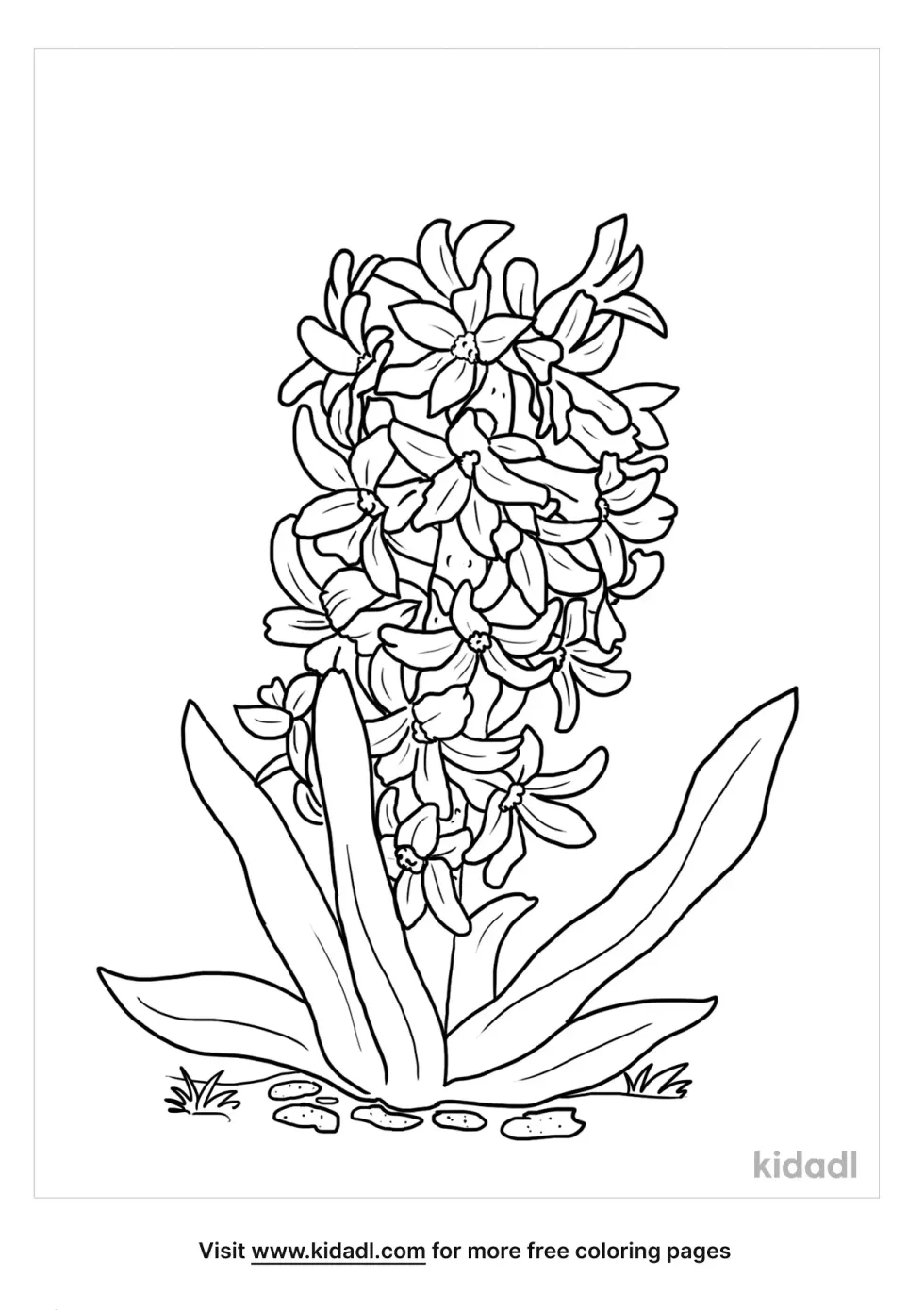 Hyacinth Flower Coloring Page