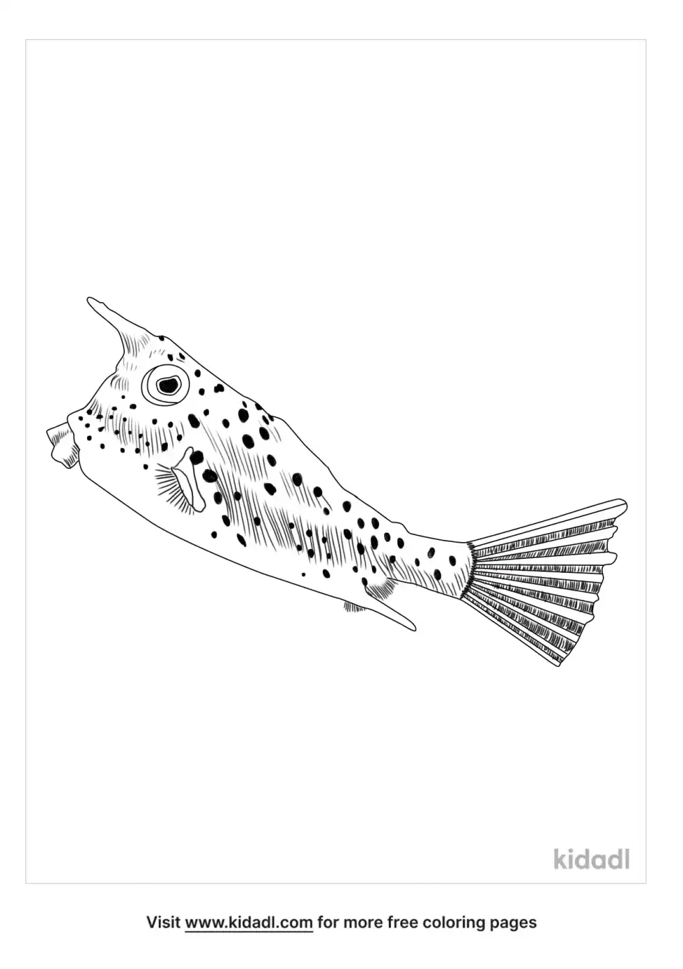 Longhorn Cowfish Coloring Page