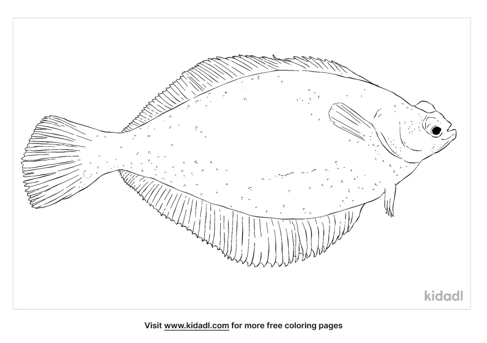 Yellowtail Flounder Coloring Page