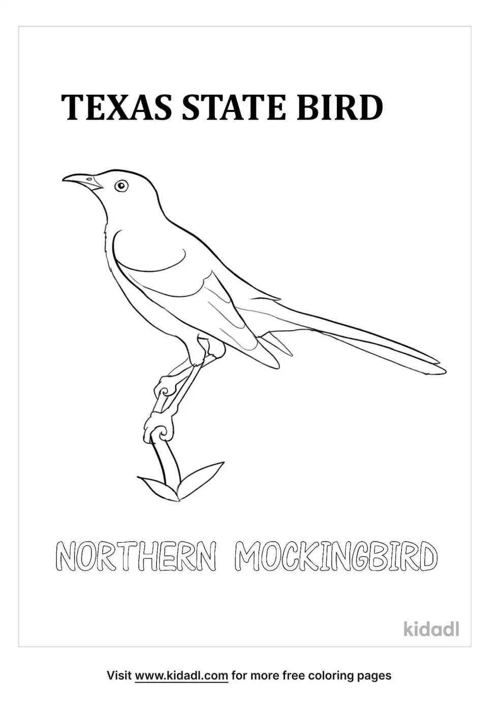 Texas State Bird Coloring Page
