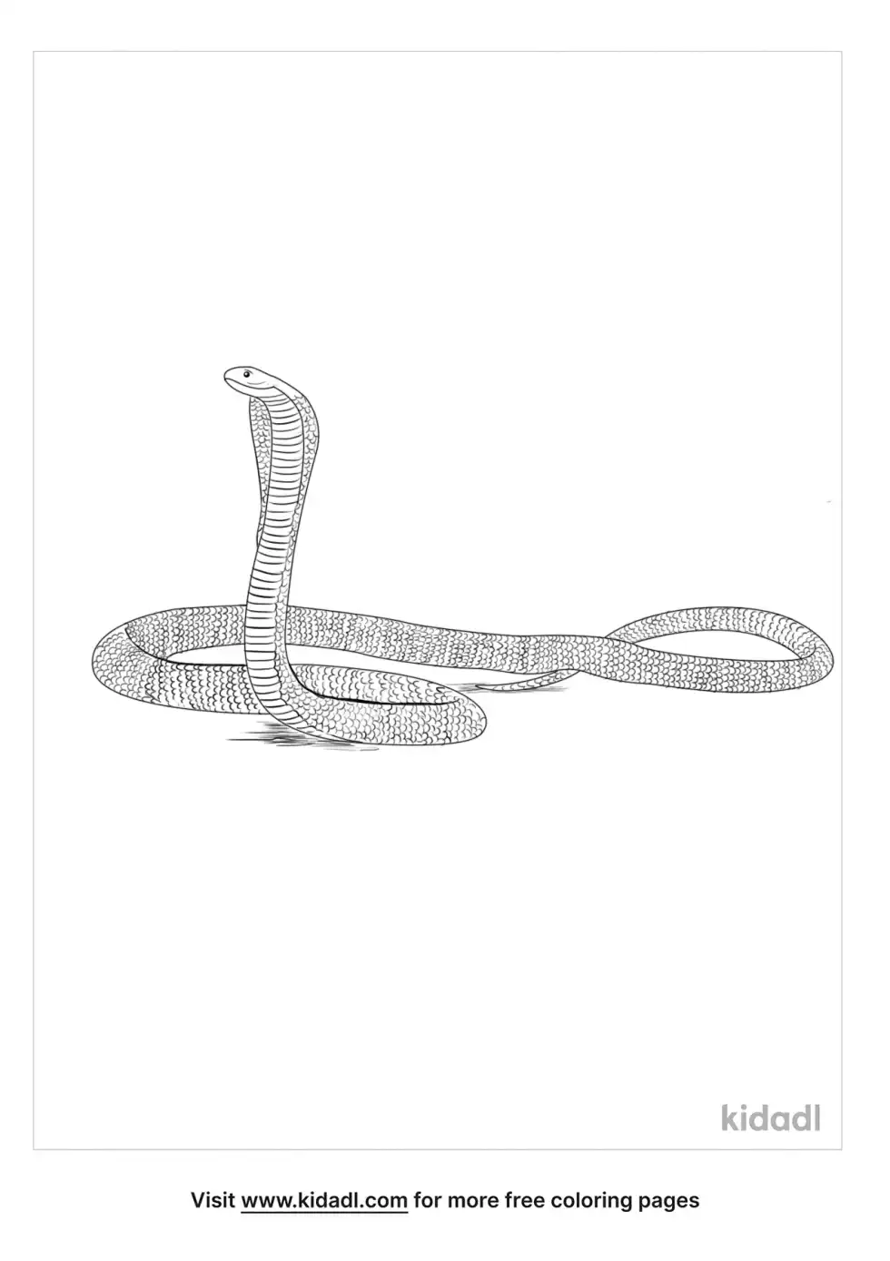 Philippine Cobra Coloring Page