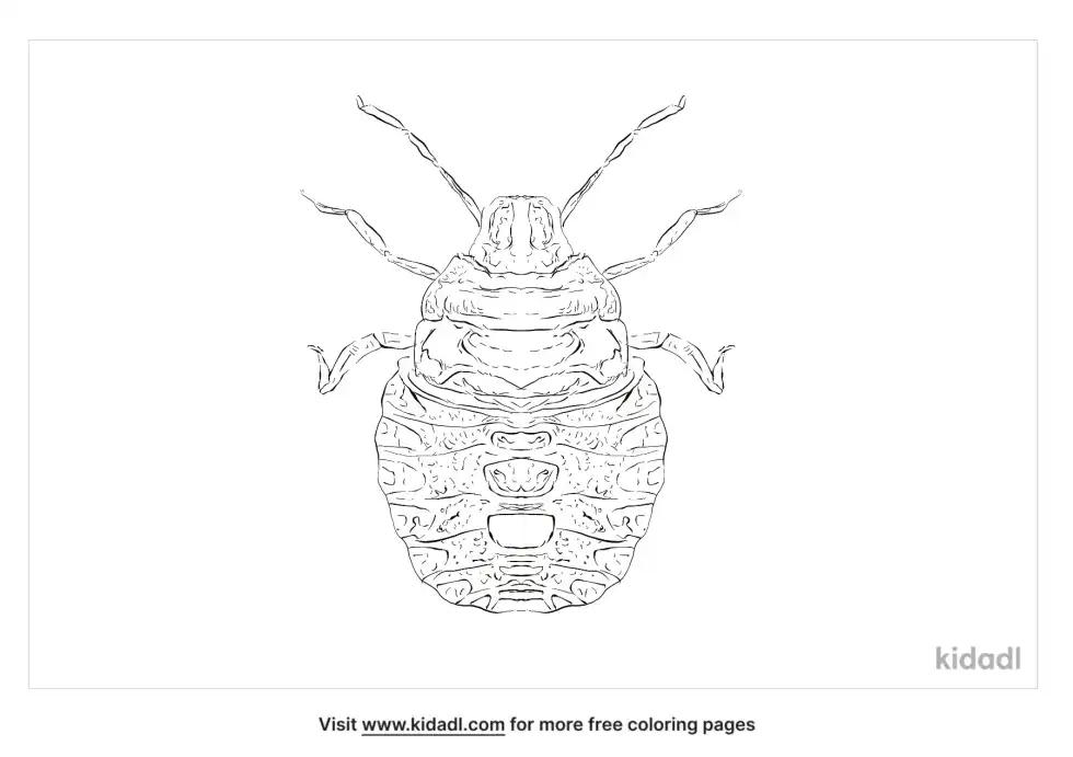 Forest Bug Coloring Page