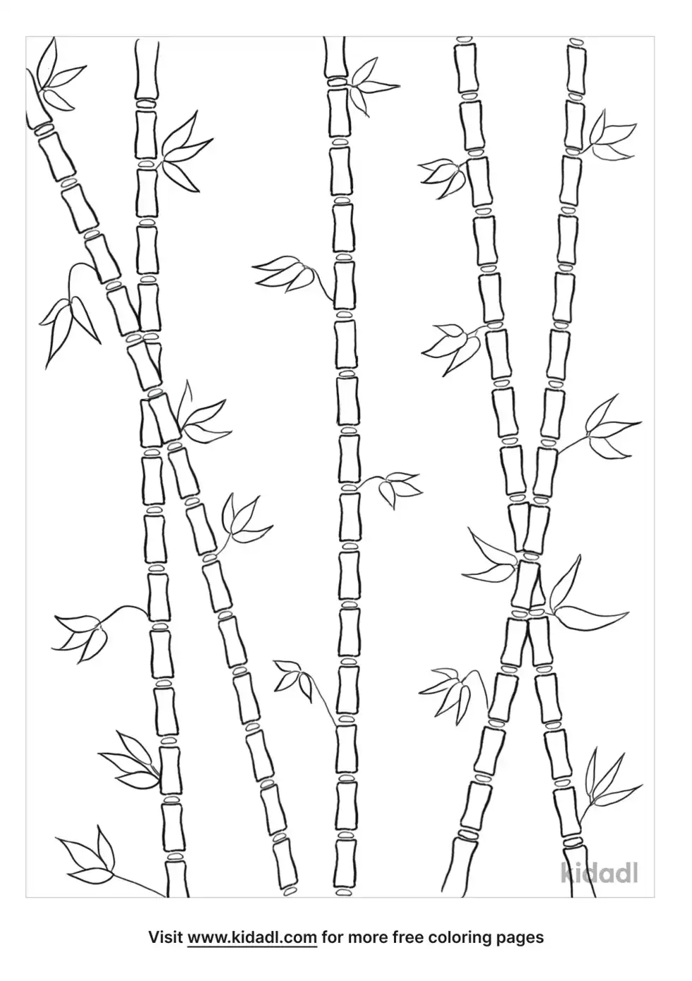 Bamboo Coloring Page