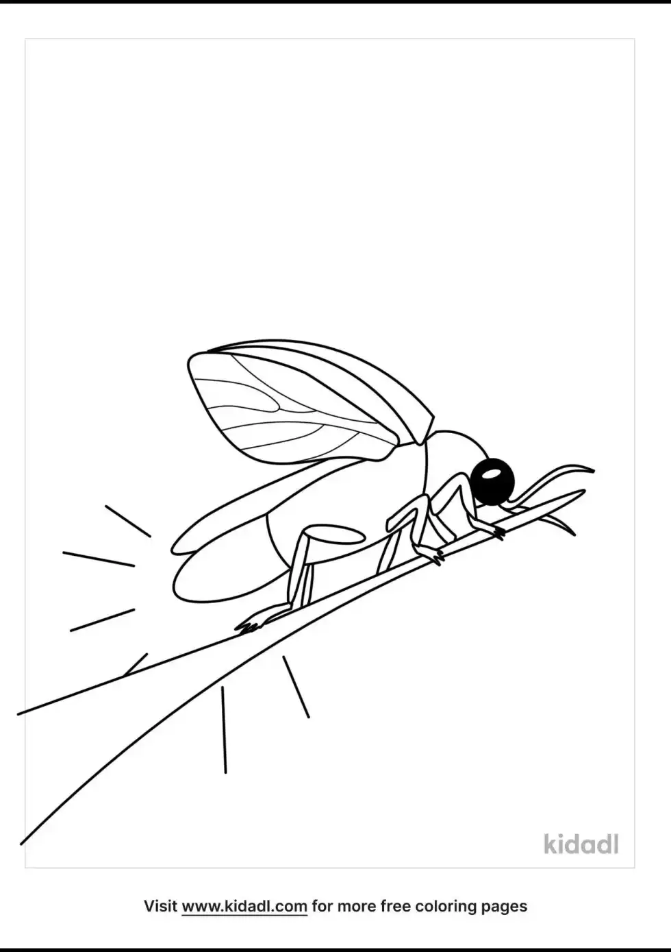 Fireflies Coloring Page