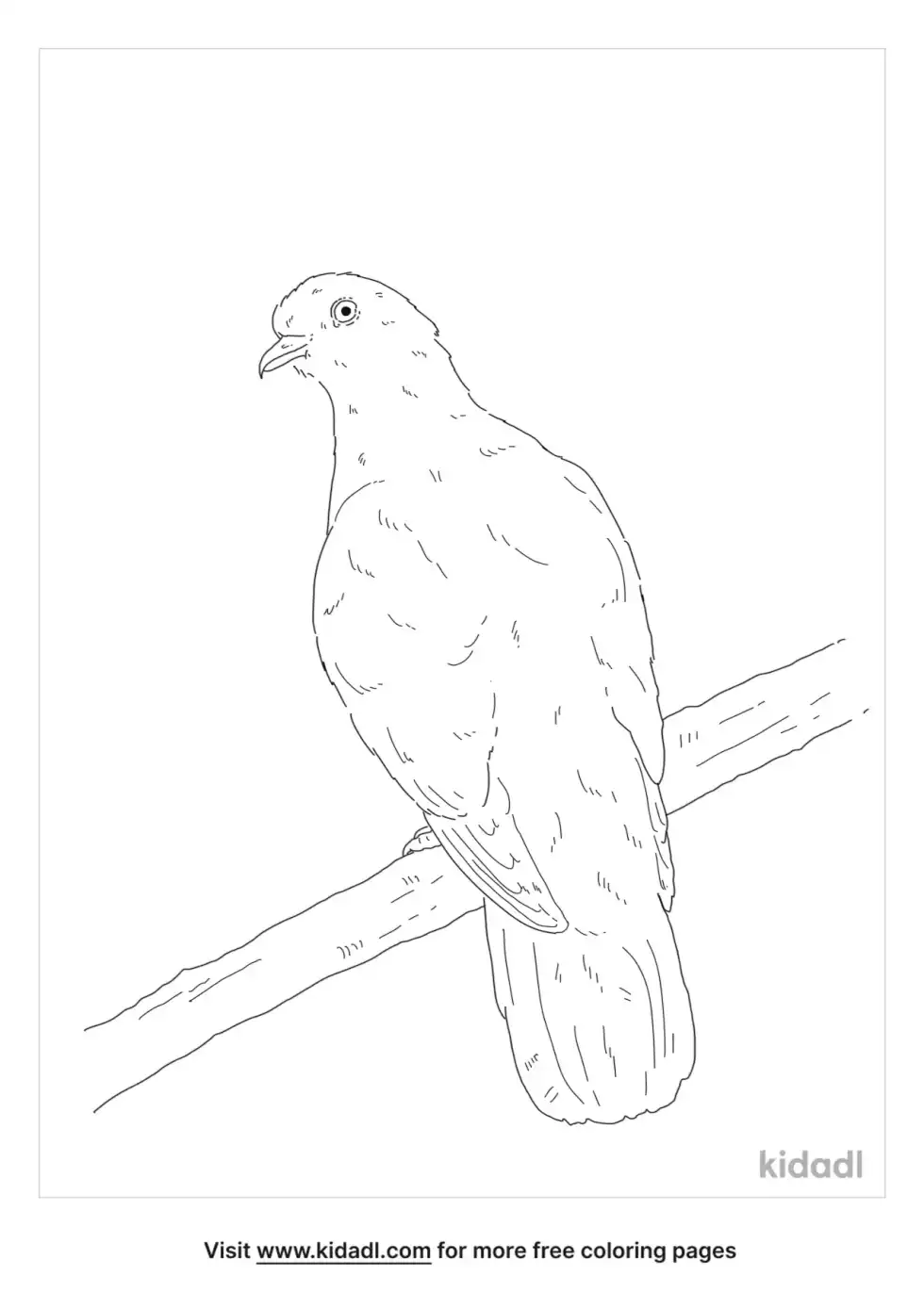 White Bellied Green Pigeon Coloring Page