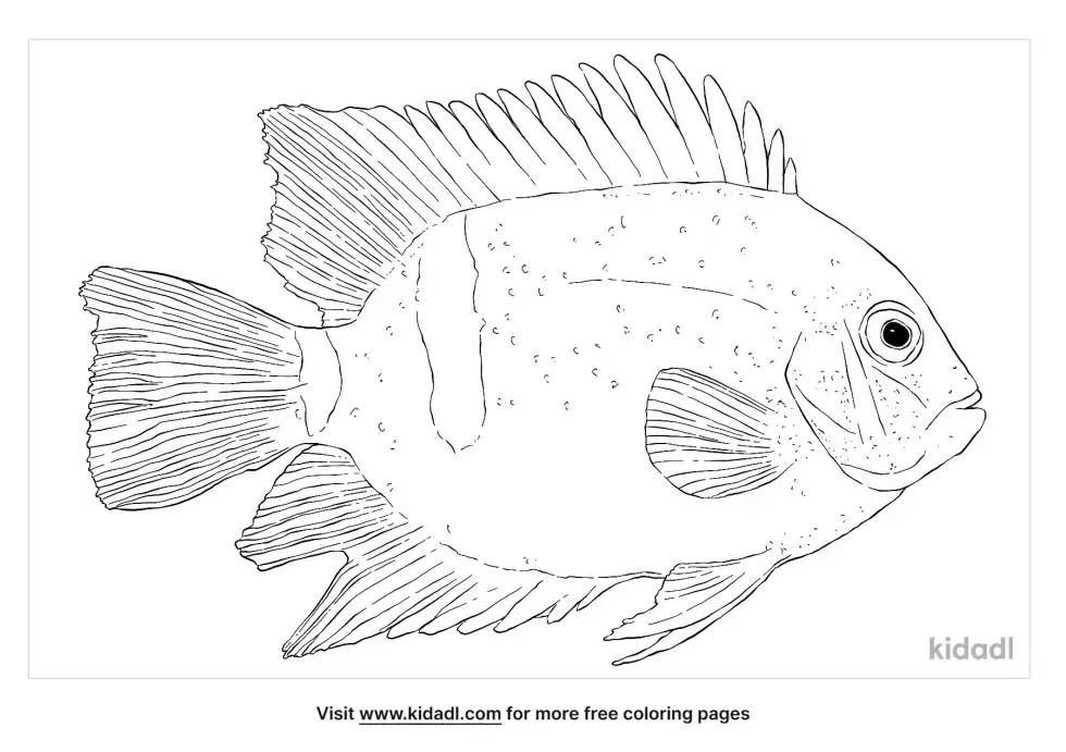 Uaru Fernandezyepezi Coloring Page