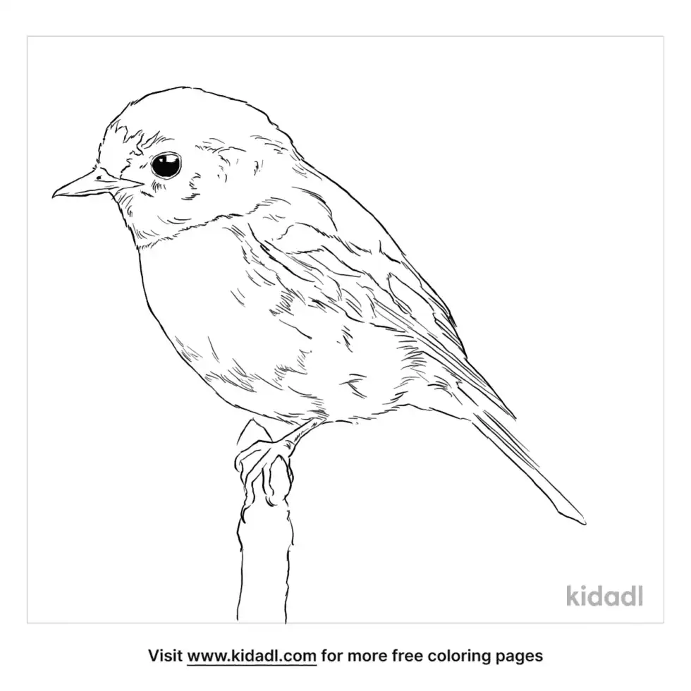 Scarlet Robin Coloring Page