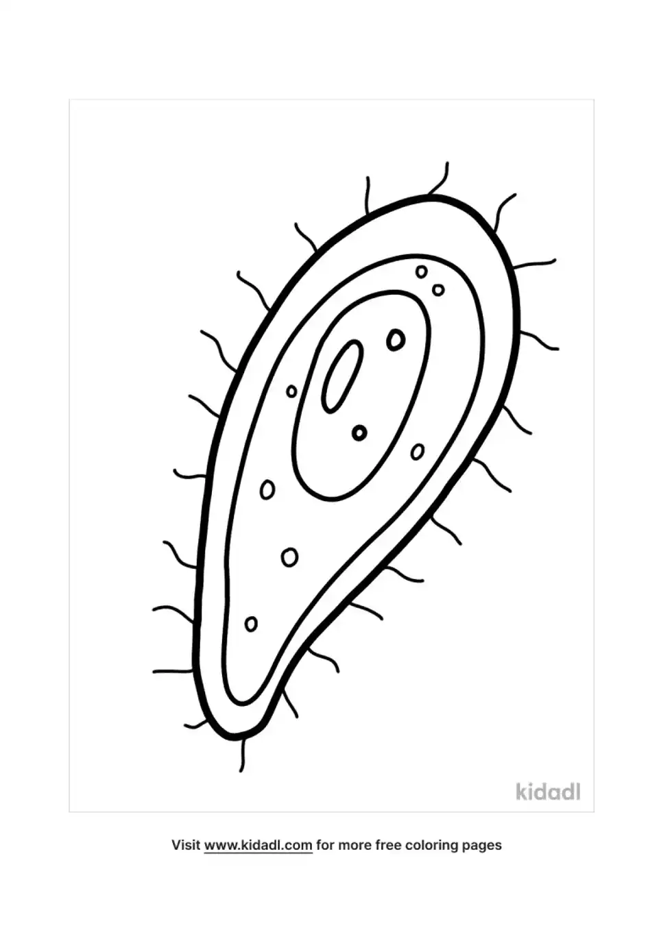 Bacteria Coloring Page