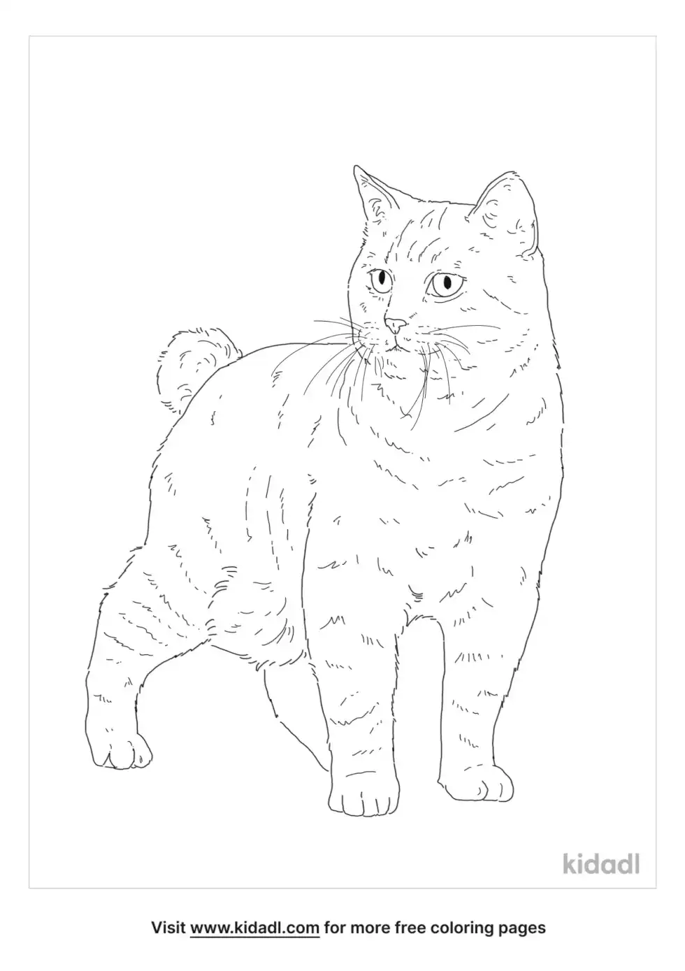 American Bobtail Coloring Page