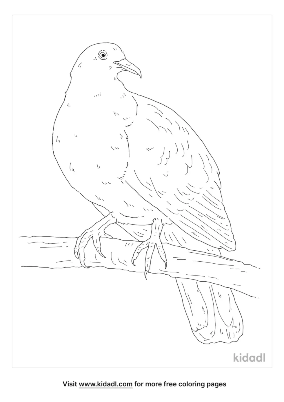 Pink Pigeon Coloring Page