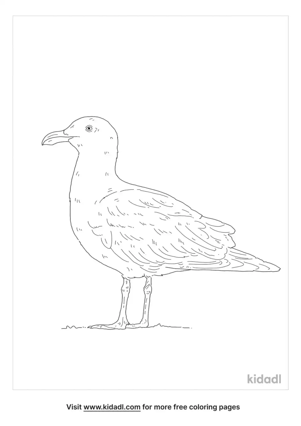 Great Black-Backed Gull Coloring Page