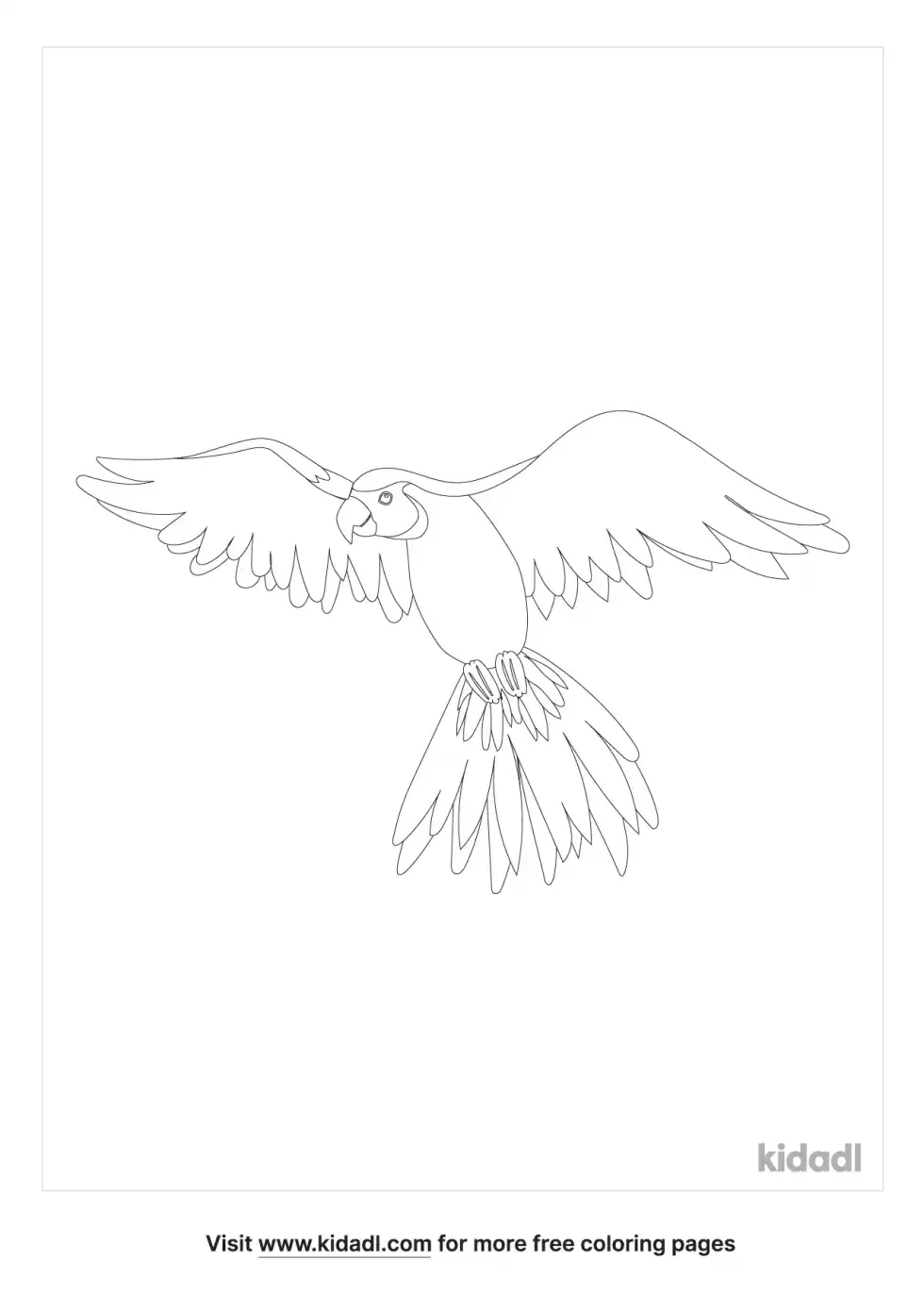 Parakeet Flying Coloring Page