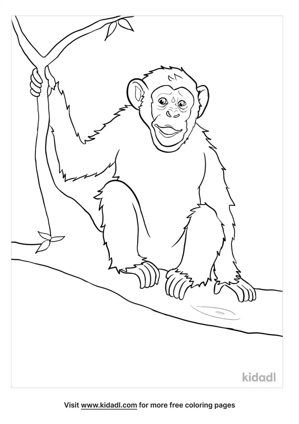 Chimpanzee Coloring Page