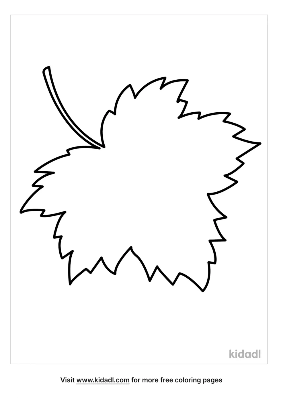 Leaf Outlines Coloring Page