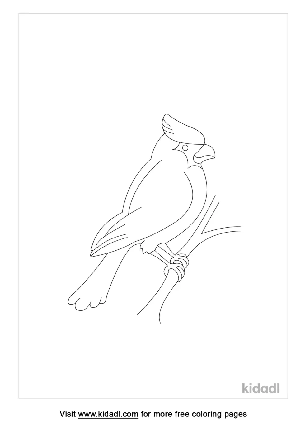 Northern Cardinal Deteled Coloring Page