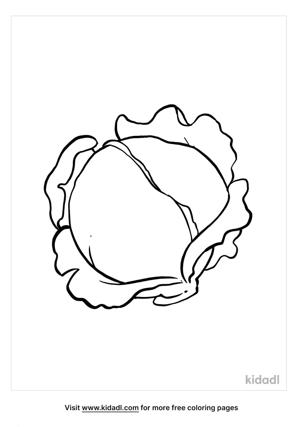 Cabbage Coloring Page