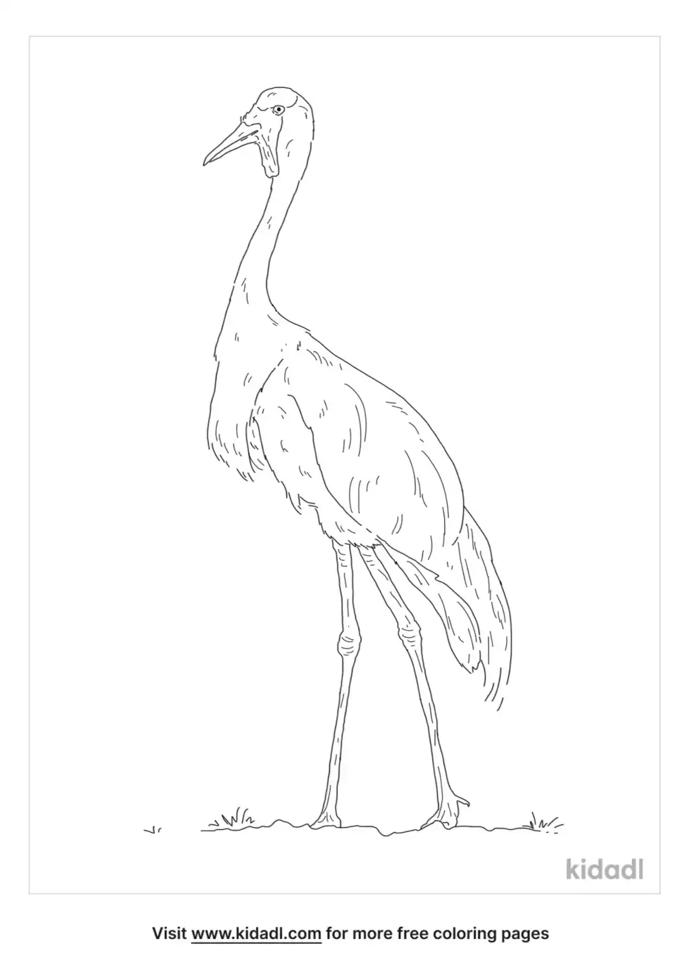 Wattled Crane Coloring Page
