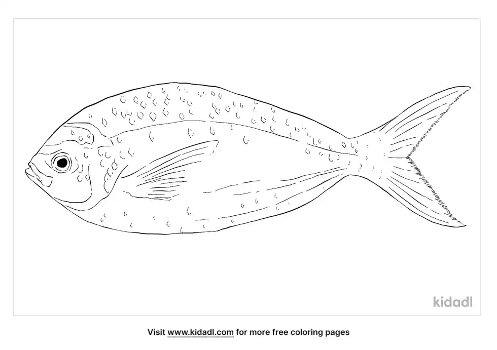 Yellowtail Fusilier Coloring Page
