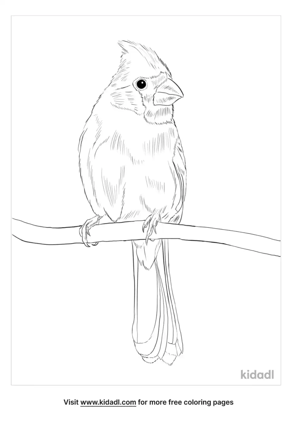 Yellow Cardinal Coloring Page