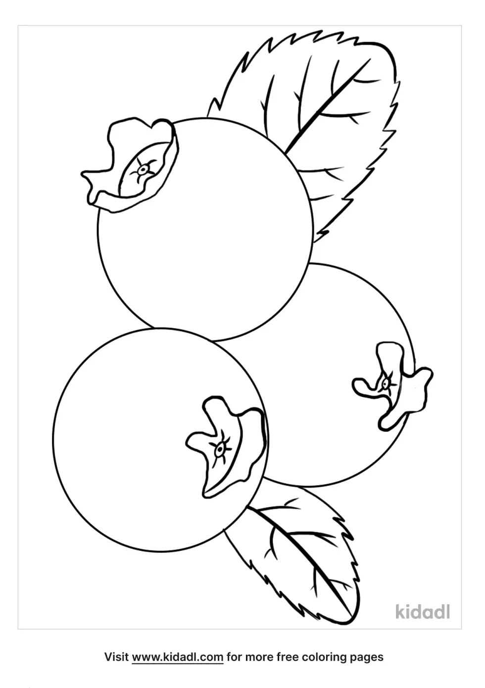 Blueberries Coloring Page