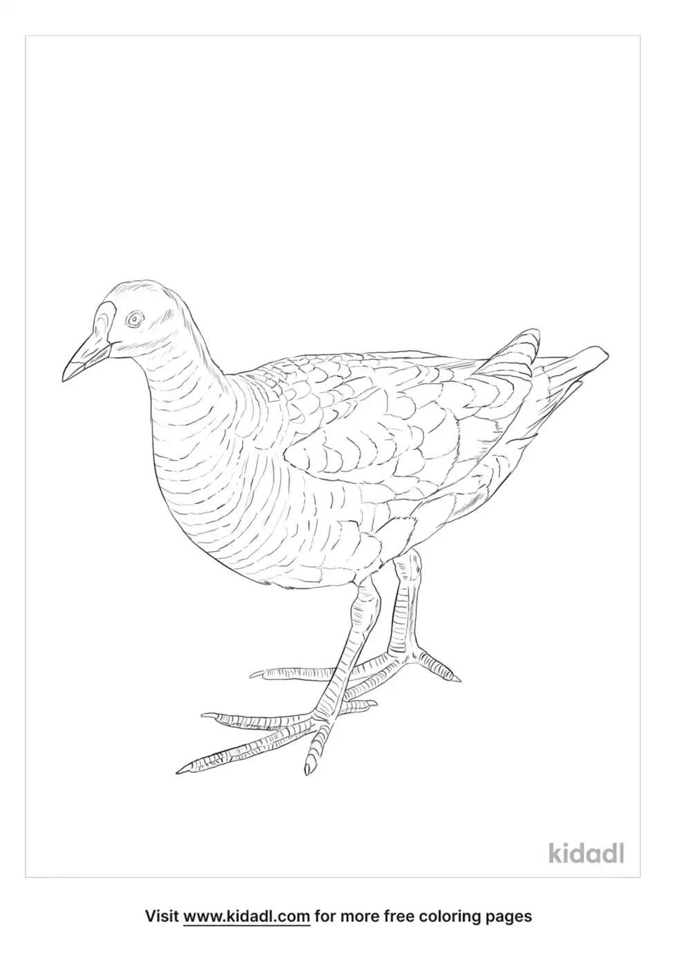 Rail Bird Coloring Page