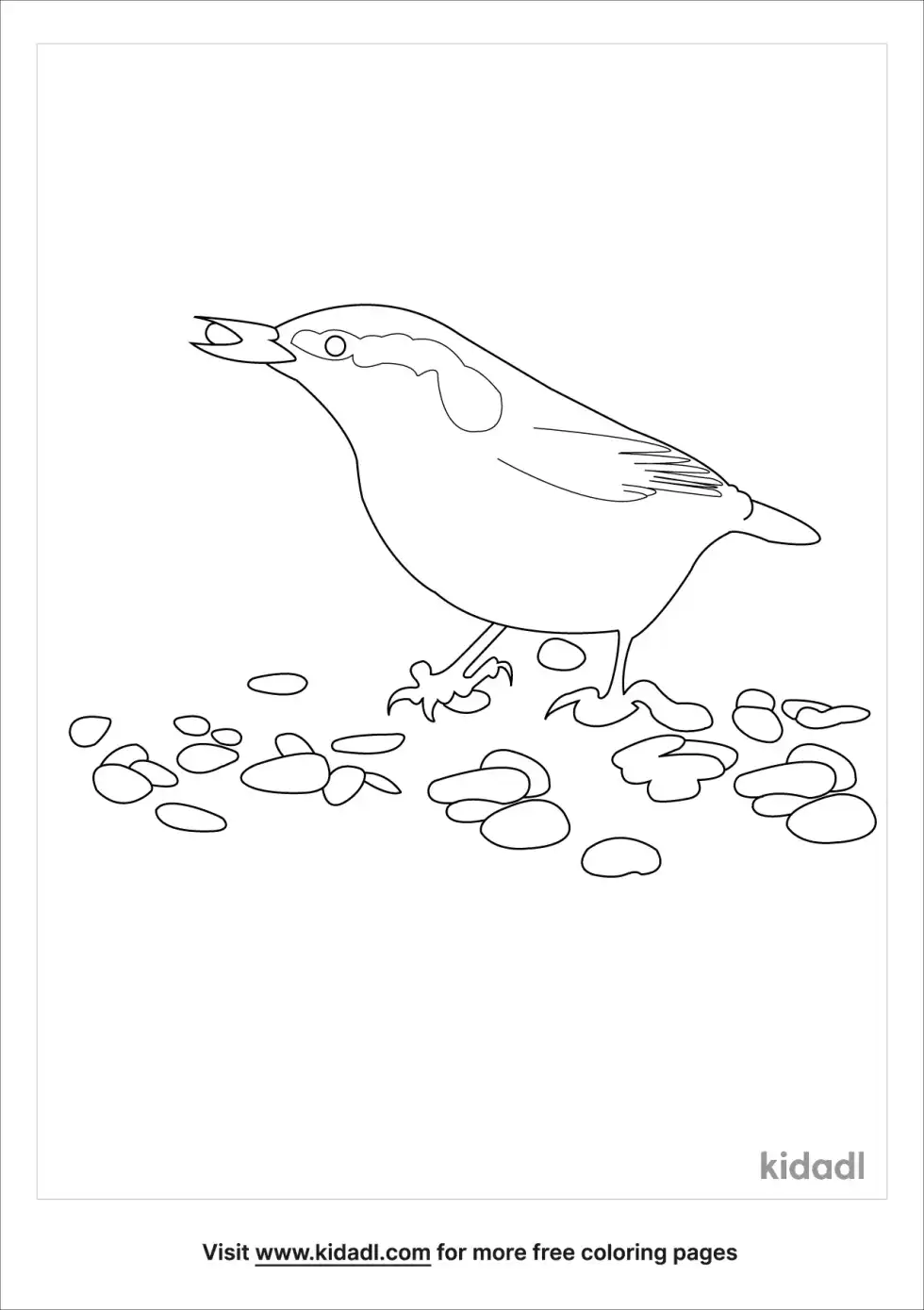 Red Breasted Nuthatch Coloring Page