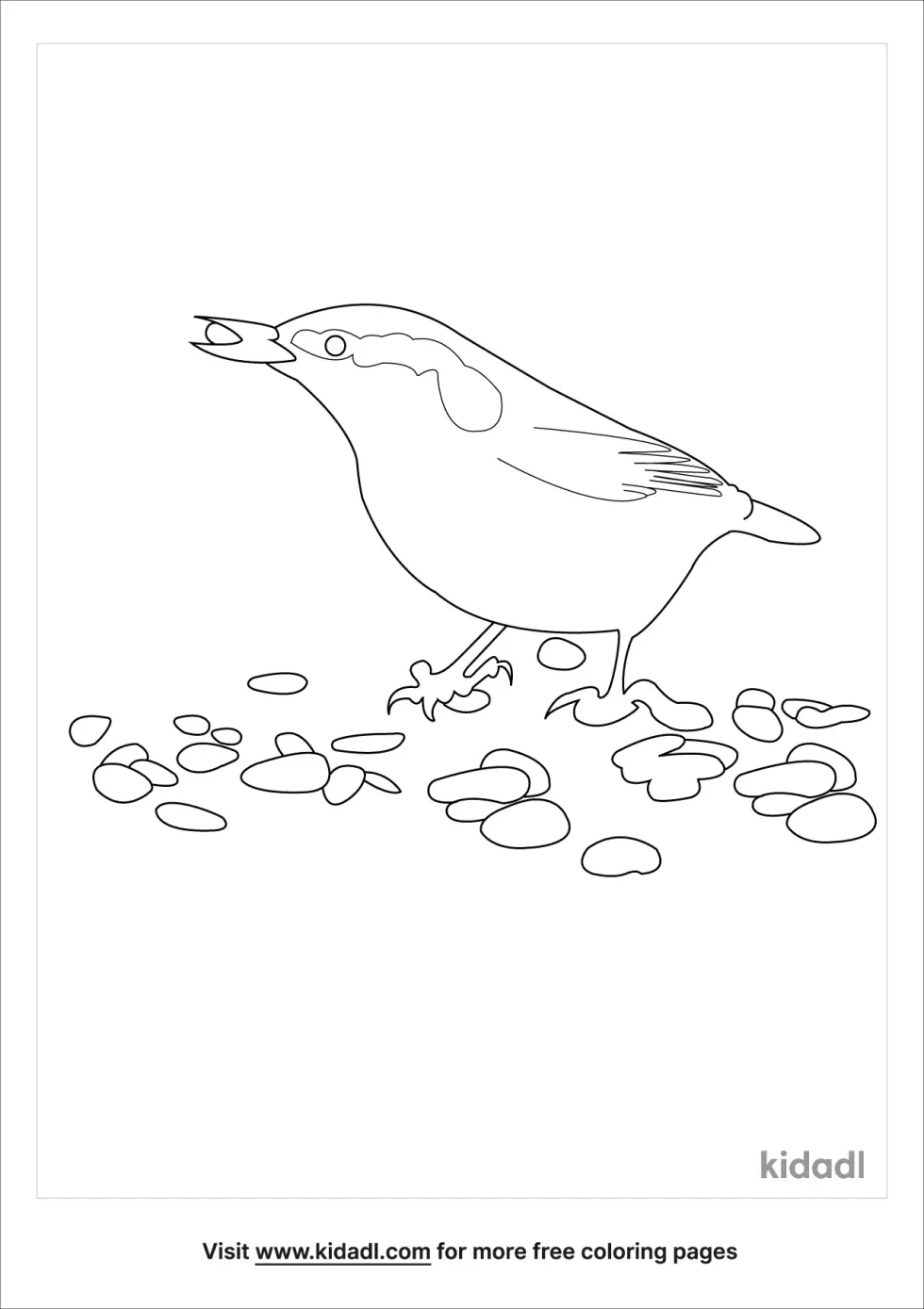 Red Breasted Nuthatch Coloring Page