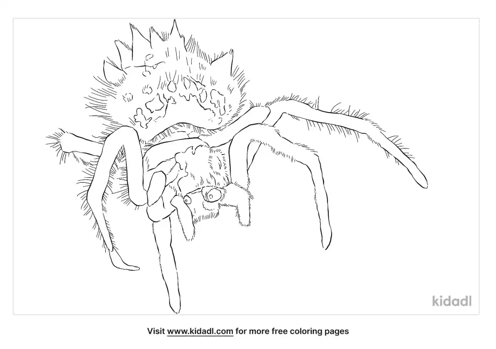 Bolas Spider Coloring Page