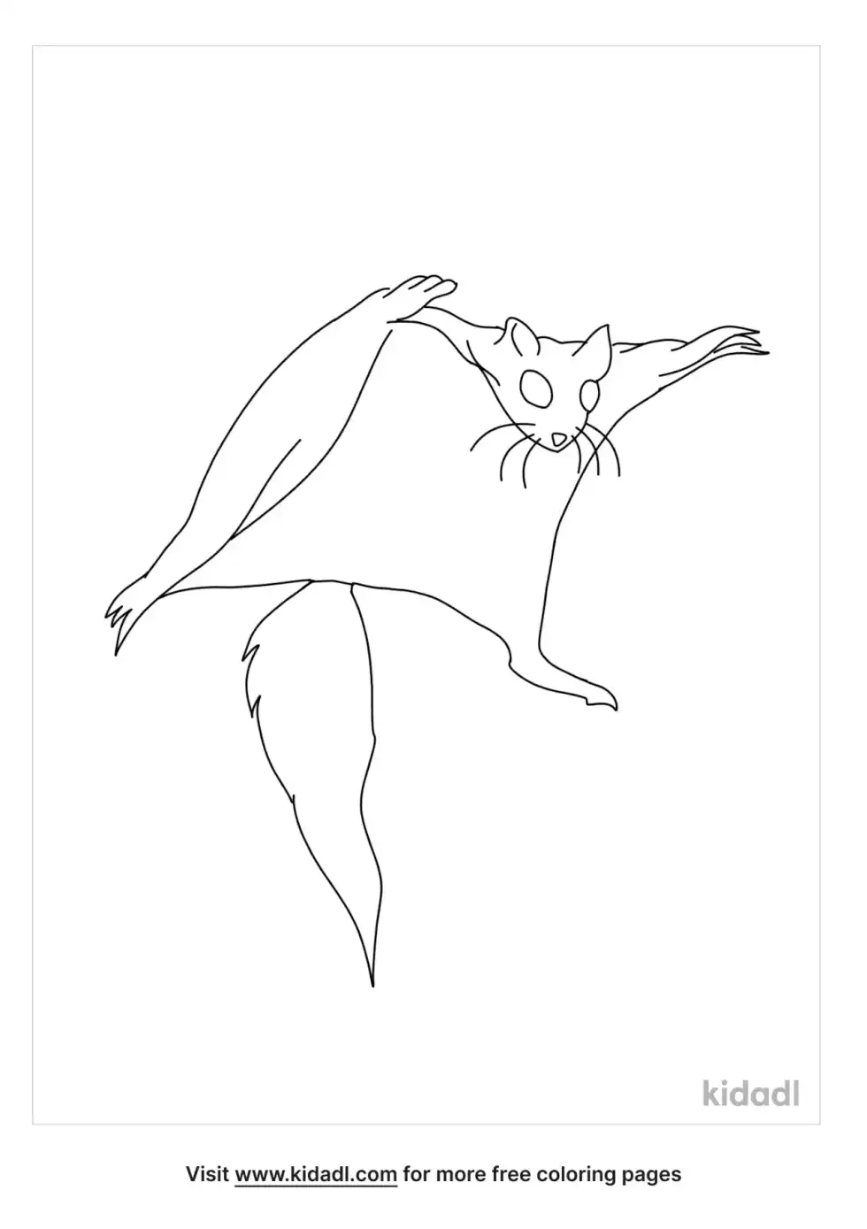 Flying Squirrel Coloring Page