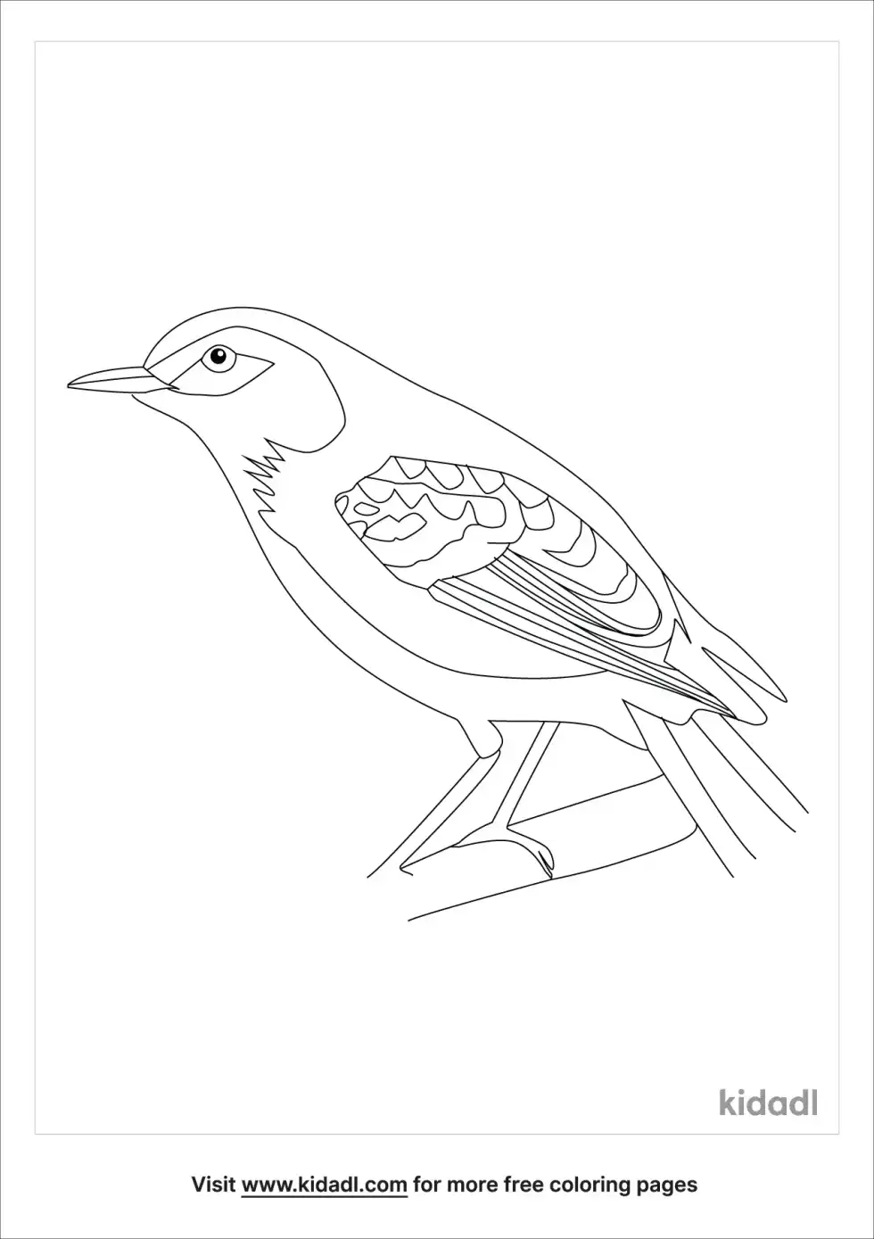 Elepio Bird Coloring Page
