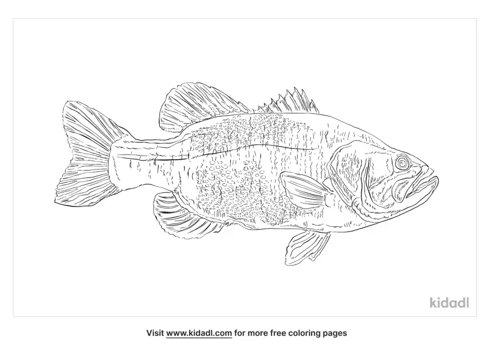 Saltwater Fish Coloring Page