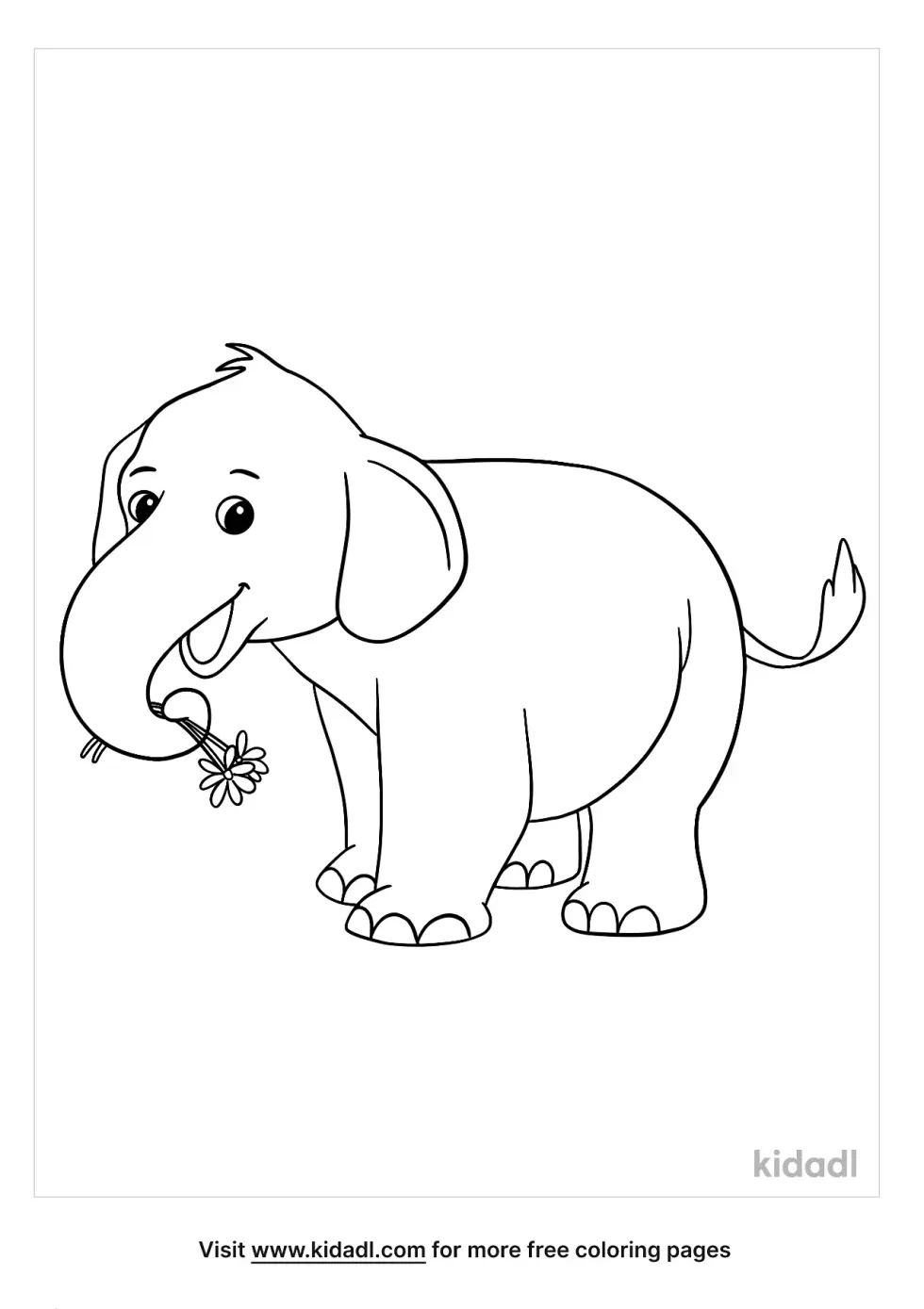 Elephant With Flowers