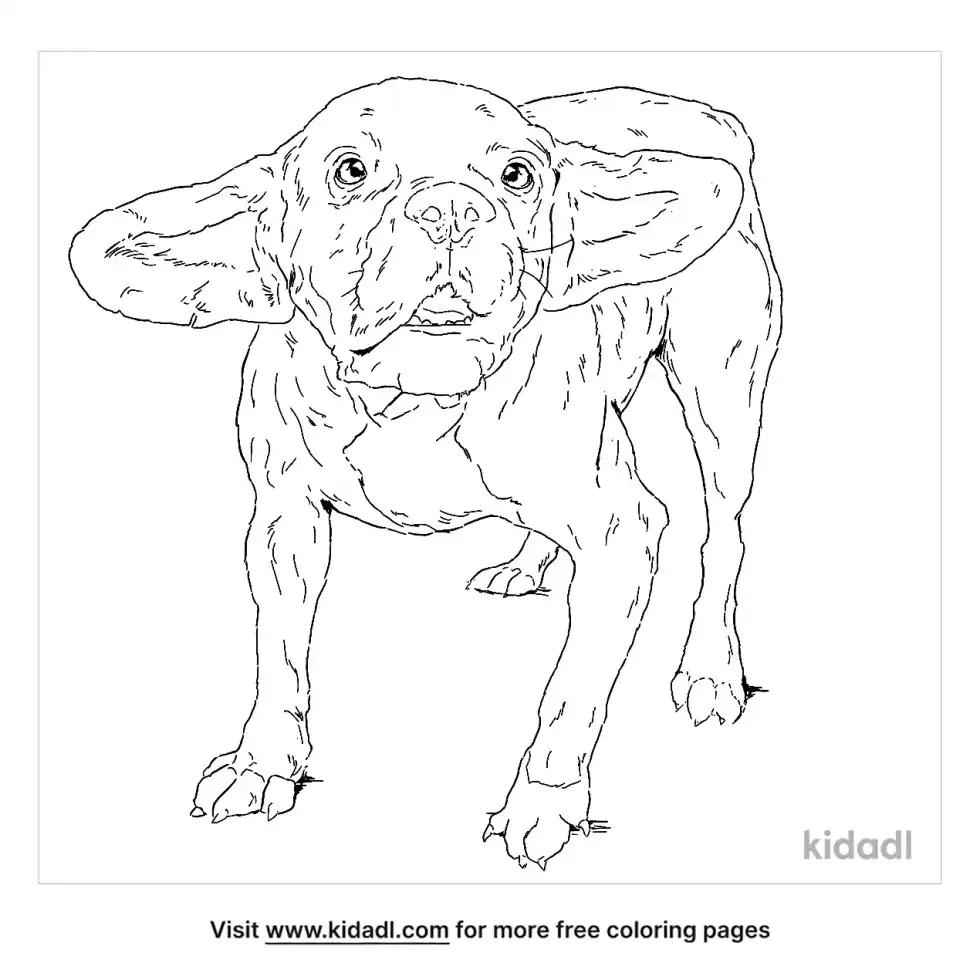 Frengle Coloring Page