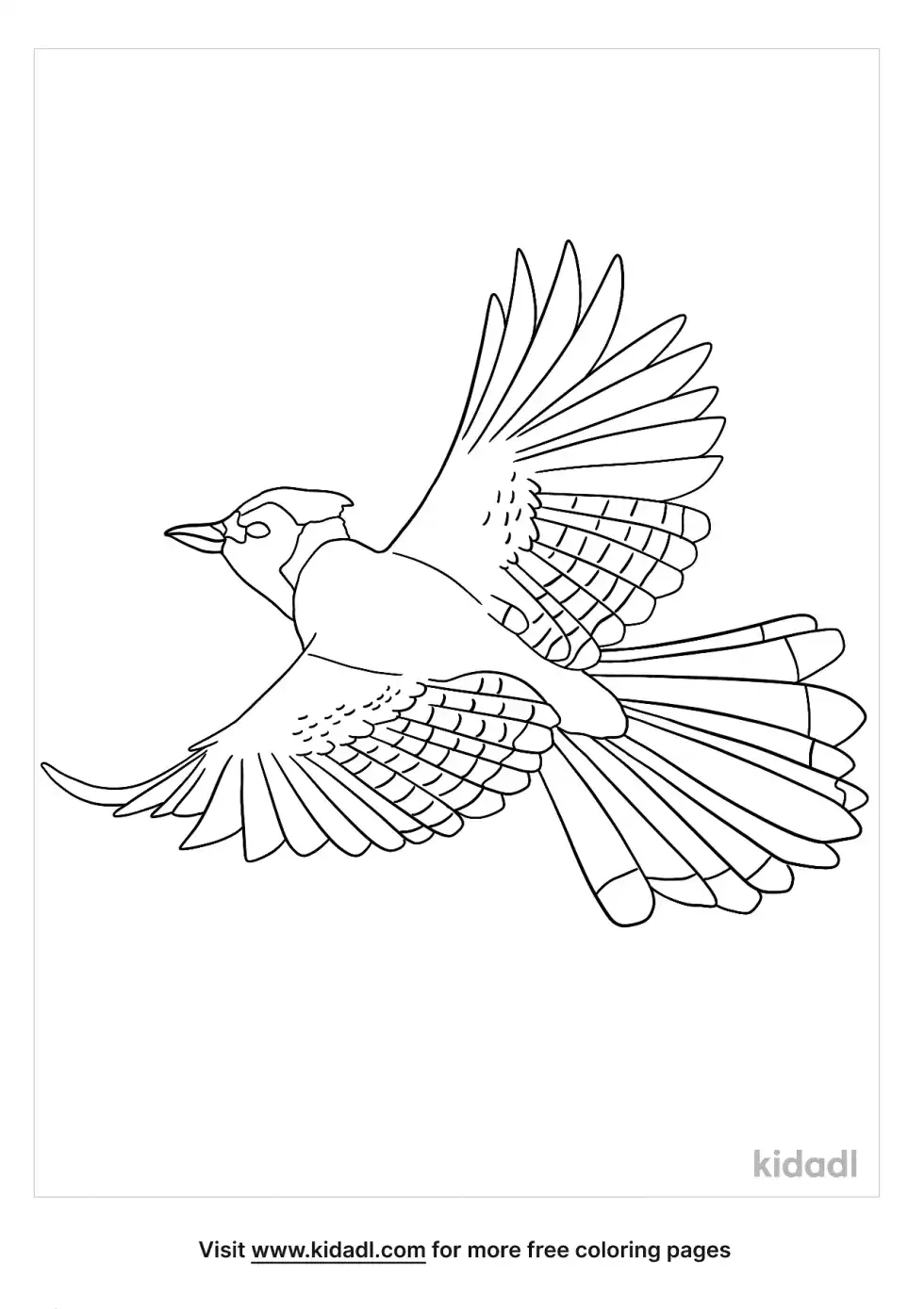 Flying Blue Jay Coloring Page