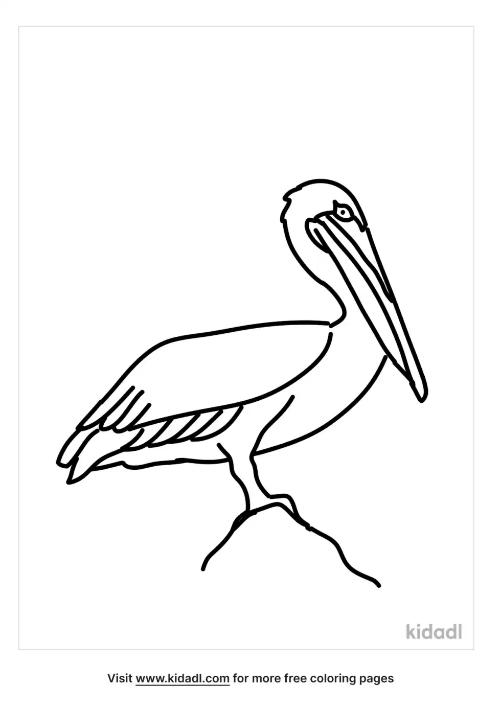 Brown Pelican Coloring Page