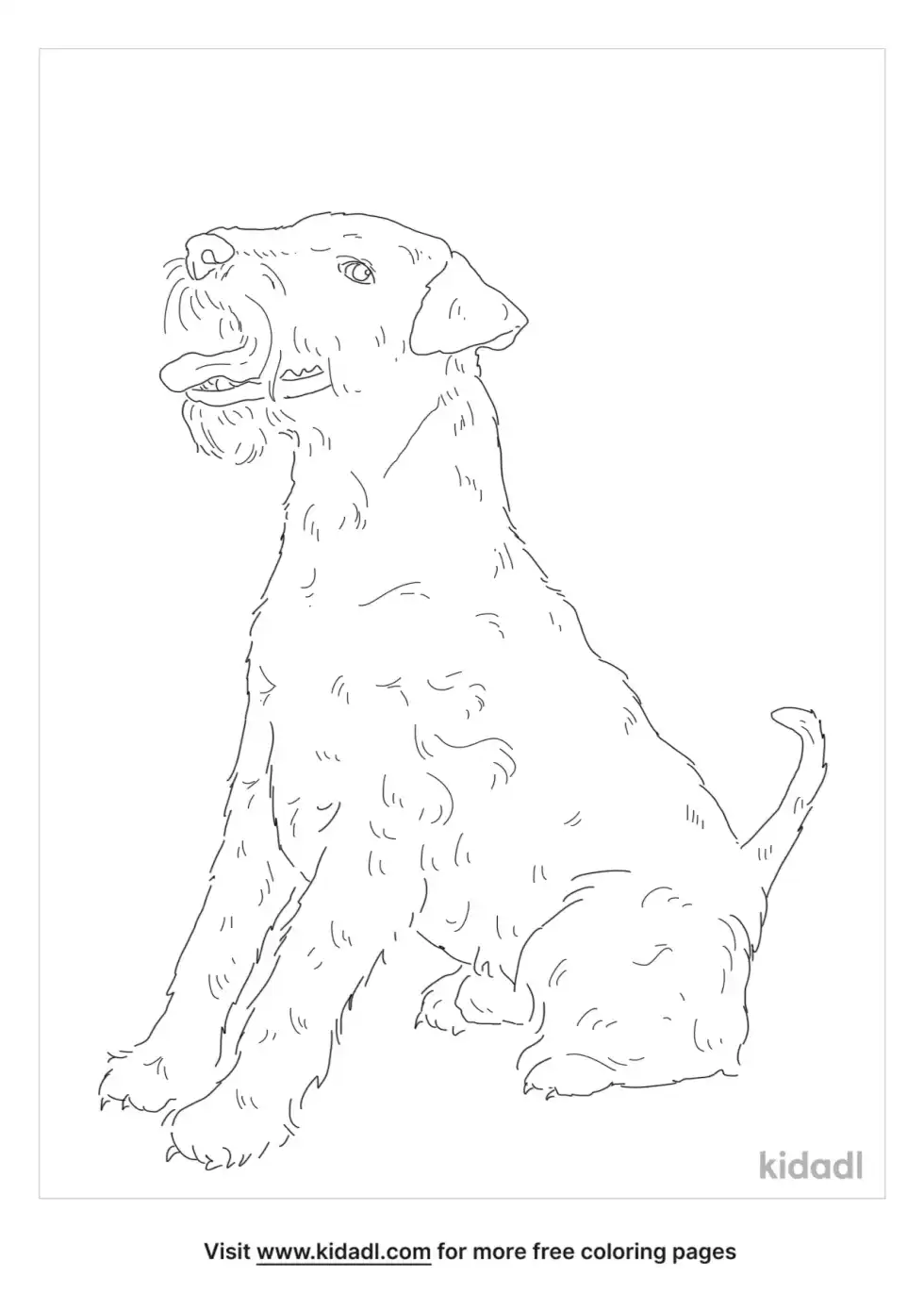 Welsh Terrier Coloring Page