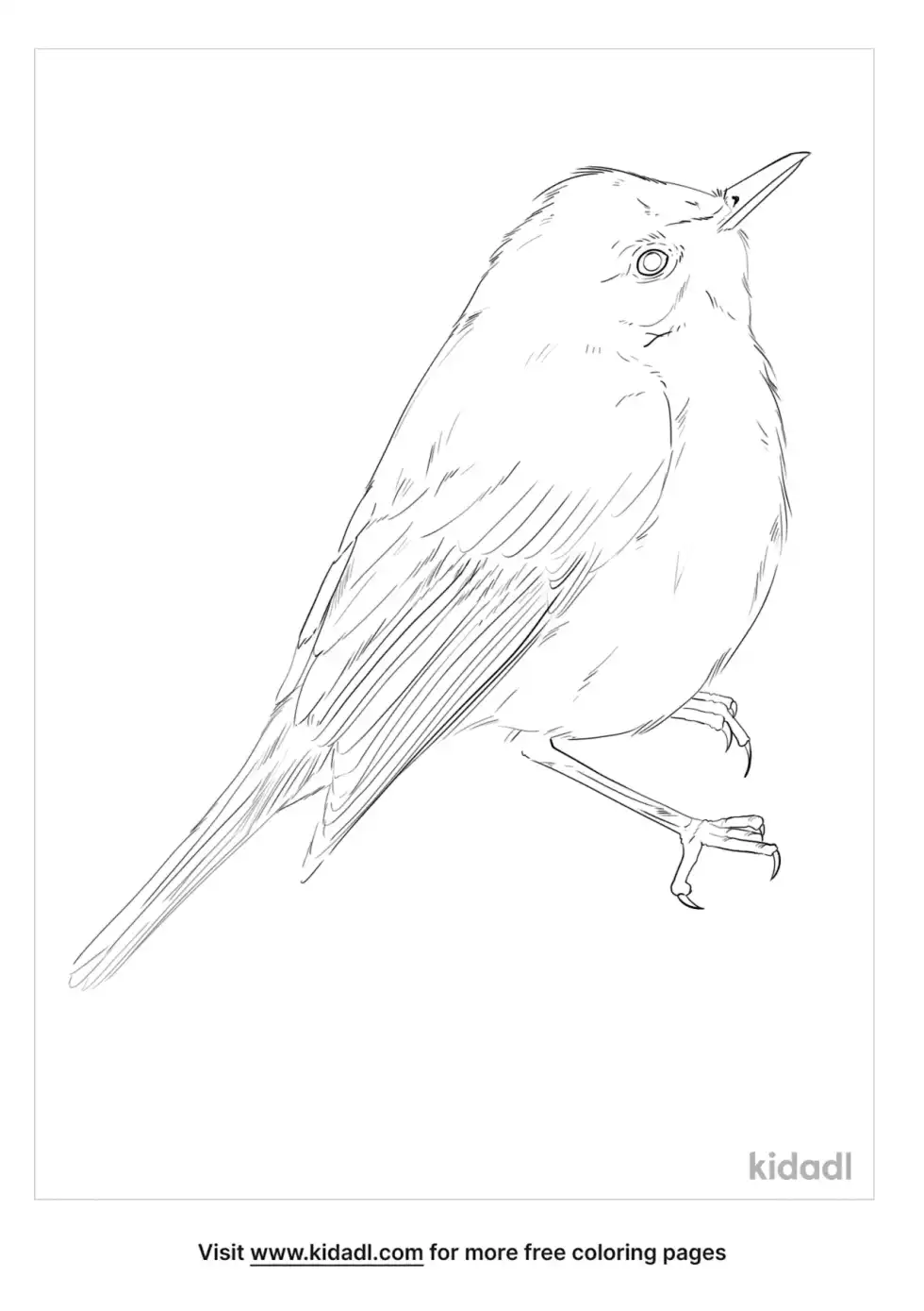 Melodious Warbler Coloring Page