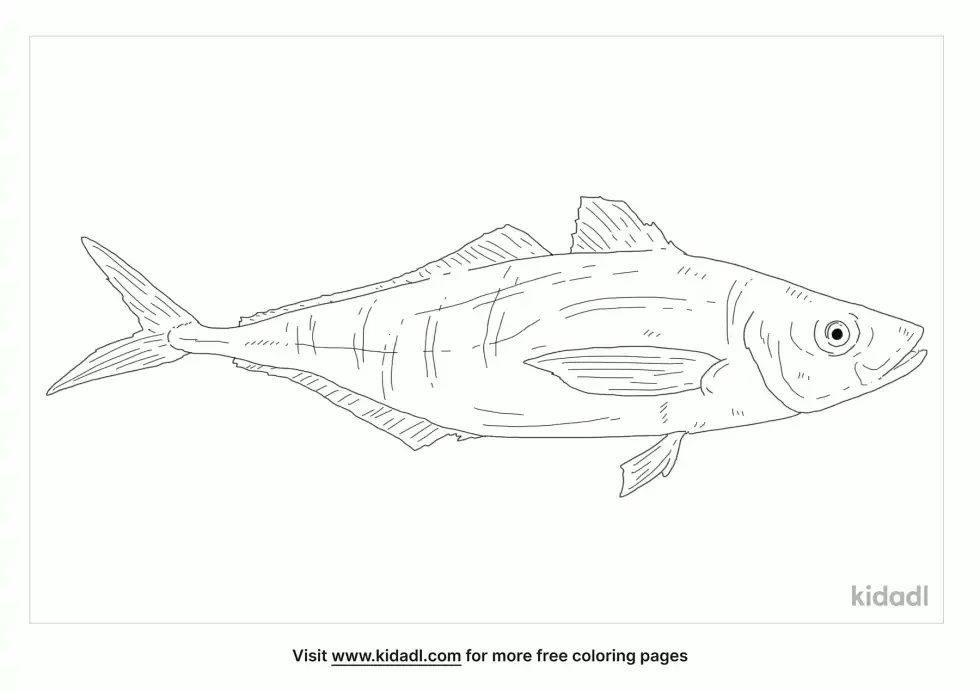 Atlantic Horse Mackerel Coloring Page
