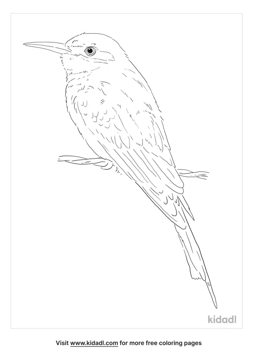 Bee Eater Coloring Page
