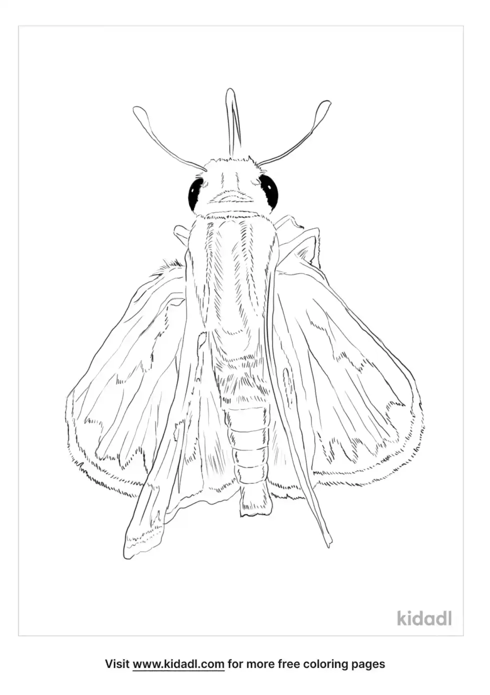 Fiery Skipper Coloring Page